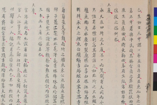 Viện Nghiên cứu Hán Nôm thông tin về vụ việc mất hơn 100 cuốn sách cổ quý