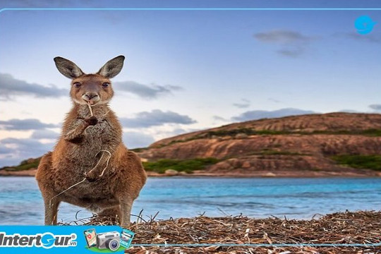 Tour du lịch Úc thăm thân - bạn đã sẵn sàng?