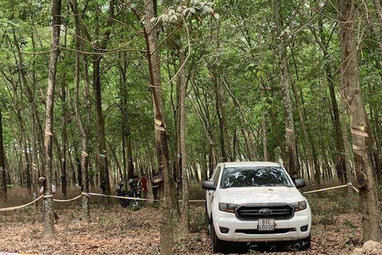 Giám đốc nghi sát hại nữ kế toán, bỏ xe trong rừng cao su
