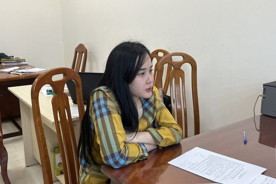 'Hotgirl' Tina Dương bị truy tố với 2 tội danh