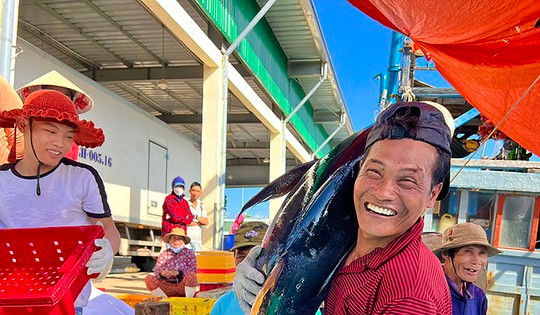 Hôm nay ra mắt Chương trình Cùng ngư dân thắp sáng đèn trên biển: Hỗ trợ ngư dân, đưa thủy sản Việt phát triển bền vững
