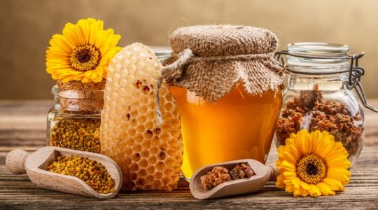 Mật ong được hi vọng thay thế thuốc kháng sinh trong tương lai