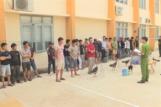 Triệt phá trường gà quy mô lớn ở Đắk Lắk, bắt giữ 34 'con bạc'
