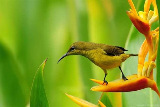 Sau tháng 2 nhuận Âm lịch, 4 con giáp lặng lẽ chuyển bại thành thắng, gặt hái tin vui, nhân sinh như ý