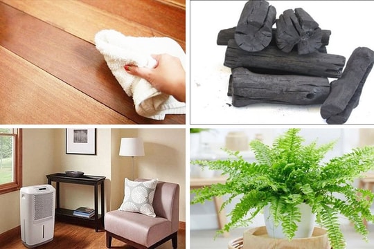 Mẹo khắc phục nhà bị nồm ẩm cực đơn giản, hiệu quả