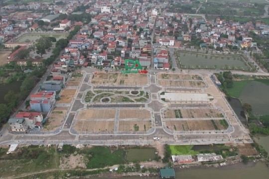 Hà Nội: Bất ngờ dừng tổ chức đấu giá 44 lô đất ở Đông Anh