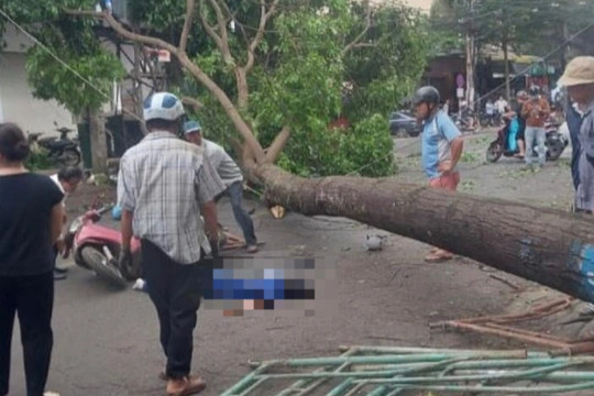 Người dân ùa ra đường cứu cô gái đi xe máy bị cây lớn đổ đè ngang người
