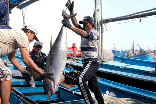 Yêu cầu Trung Quốc chấm dứt lệnh cấm đánh bắt cá phi lý ở Biển Đông