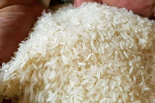 Giá gạo Việt đứng đầu thế giới, doanh nghiệp xuất khẩu trúng đậm