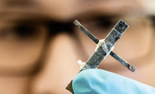 Thụy Điển phát triển thành công transistor bằng gỗ đầu tiên thế giới