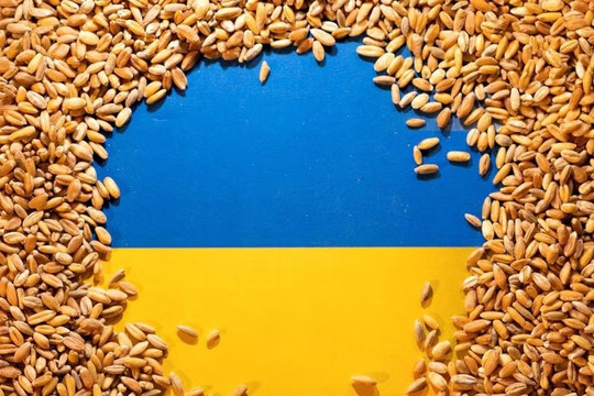 5 nước EU nhất trí khôi phục vận chuyển ngũ cốc của Ukraine