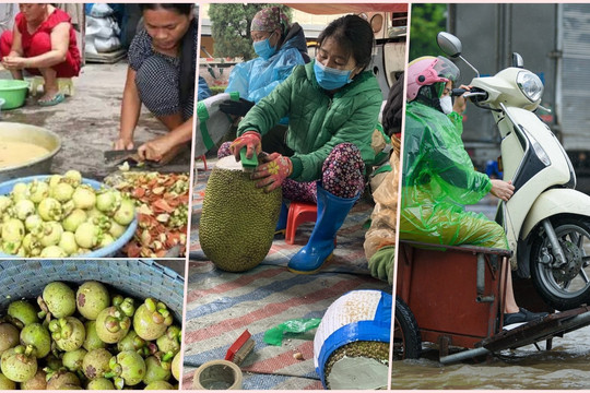 Việc nhẹ lương cao ở Việt Nam: Gọt măng cụt kiếm nửa triệu đồng mỗi ngày