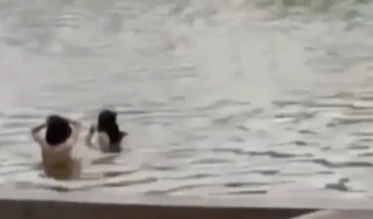 2 thanh niên 'tắm tiên' tại hồ Gươm bị đề xuất xử phạt đến 3 triệu đồng
