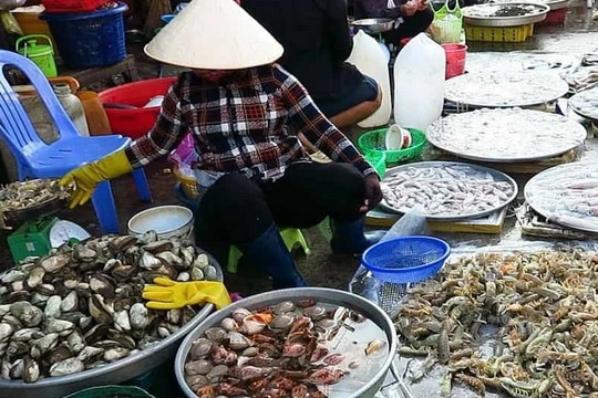 'Luật ngầm' chi hoa hồng đẩy giá hải sản ở Phú Quốc đắt đỏ khó tin