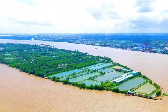 Cồn Sơn xanh rực rỡ, vui bất tận