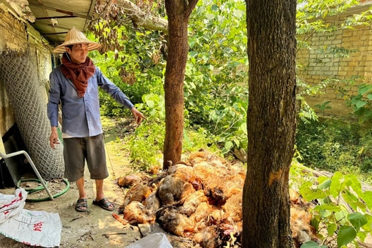 Cảnh báo lâu rồi, sao dân vẫn khổ vì mất điện