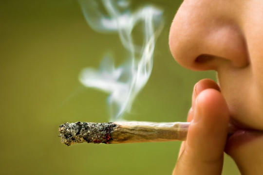 Ảnh hưởng của việc hút cần sa đối với phổi
