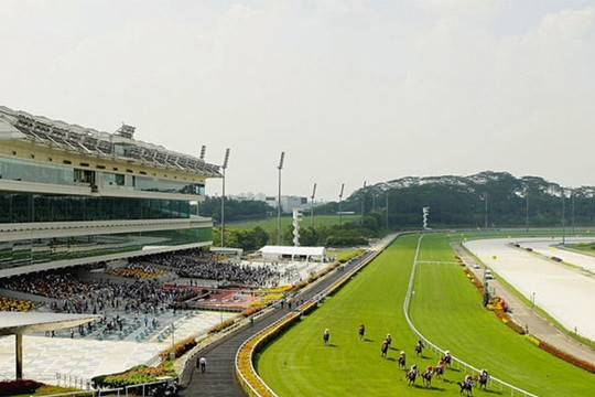 Singapore quyết định chấm dứt đua ngựa sau hơn 180 năm