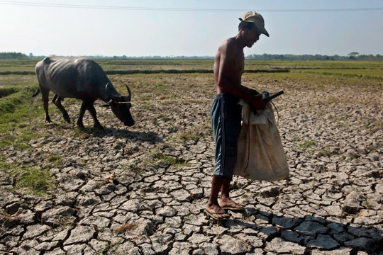 El Nino có thể khiến kinh tế thế giới 'bay hơi' hàng nghìn tỷ USD