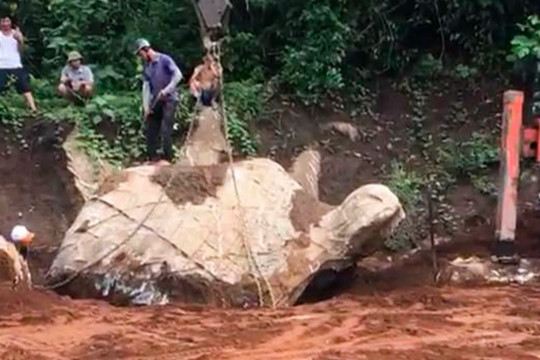 Xôn xao vụ đào được tảng đá hình con rùa, khách trả giá hơn 1 tỷ đồng