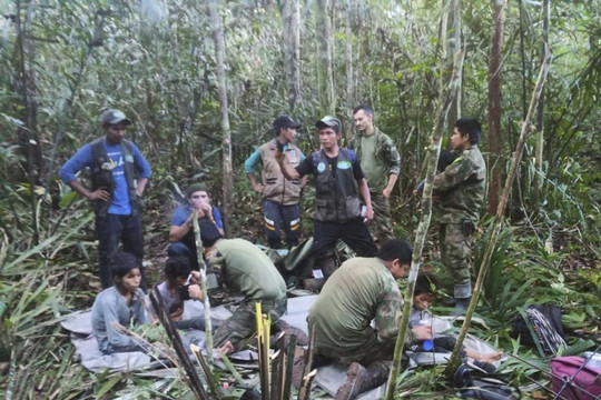 Toàn cảnh vụ sống sót 'phép màu' trong rừng già Amazon