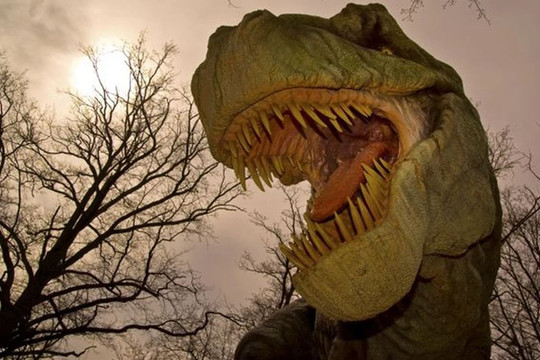 Con người có thể tồn tại nếu khủng long chưa tuyệt chủng?