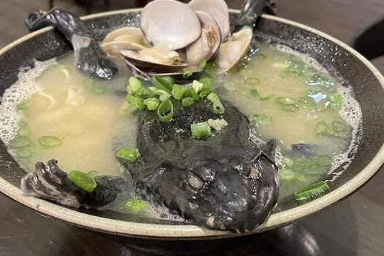 Món mì bày nguyên con ếch 'chưa lột da' gây sốc ở Đài Loan