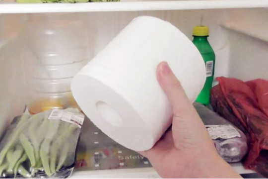 Vì sao nên đặt giấy cuộn vào tủ lạnh?