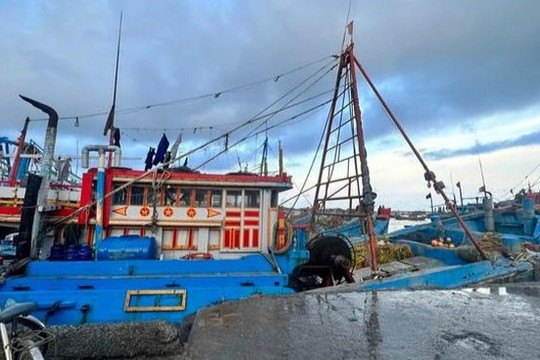 2 ngư dân tử vong trong khoang chứa cá trên tàu ở Bình Thuận