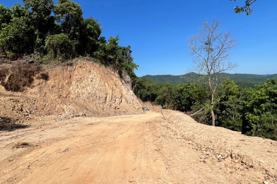 Vụ phá rừng mở đường ở Quảng Ngãi: Tập đoàn Đèo Cả có liên quan?