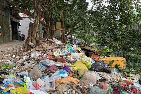 Hà Nội: Con ngõ dài 200m ngập trong rác khiến người dân khốn khổ