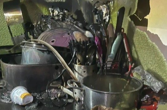 Vụ cháy tại tầng 25 chung cư ở Hà Nội: Do mèo 'khởi động' bếp từ?