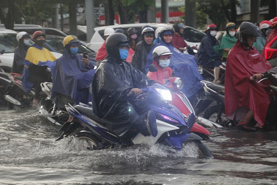 Thành phố Hồ Chí Minh: Chống ngập, càng chống càng ngập