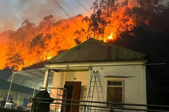 Hơn 3.000 người được huy động chữa cháy rừng ở Nghệ An