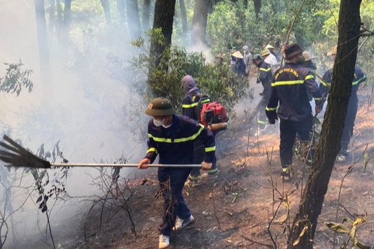 Trắng đêm dập lửa cứu rừng ở Nghệ An