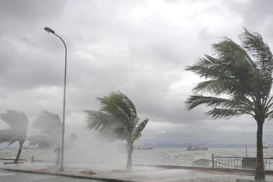 Ứng phó bão số 1: Các tỉnh sẵn sàng cấm biển, sơ tán dân khỏi vùng nguy hiểm