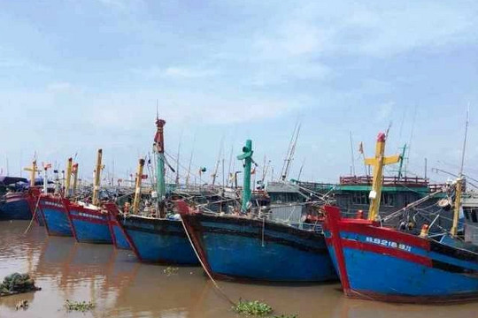 Nam Định, Thái Bình cấm biển từ 12h trưa nay
