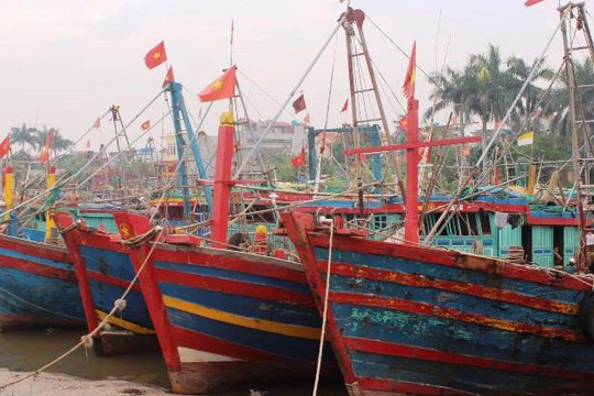 Nam Định và Thái Bình kêu gọi hàng nghìn tàu thuyền vào tránh bão Talim