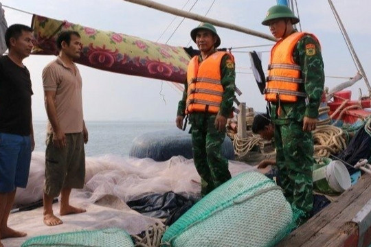 Quảng Ninh, Hải Phòng ứng phó với bão Talim