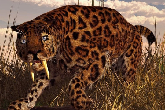 Hóa thạch 5 triệu năm tuổi tiết lộ về 2 loài mèo răng kiếm mới ở Nam Phi