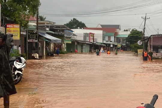 Mưa lớn kéo dài khiến 35ha lúa ở Bình Phước chìm sâu trong nước