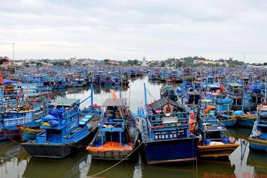 Sóng đánh chìm thuyền ở biển Bình Thuận, một ngư dân mất tích