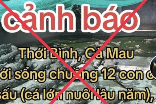 Tin '12 con cá sấu xổng chuồng' ở Cà Mau là thất thiệt