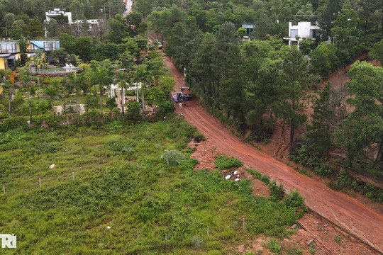 Thủ tướng yêu cầu xử nghiêm việc xây dựng trái phép trên đất rừng phòng hộ
