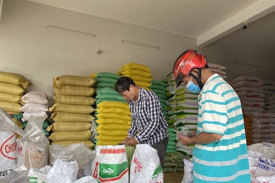 TP.HCM tăng cường kiểm soát giá gạo, yêu cầu báo cáo ngay nếu khan hiếm
