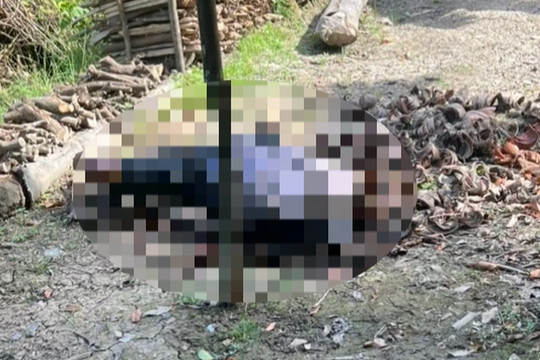 Phát hiện thi thể người đàn ông 71 tuổi trong vườn ở Vĩnh Long