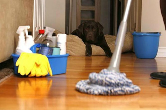 “Phương pháp một giờ” sẽ thay đổi cách bạn dọn dẹp nhà cửa