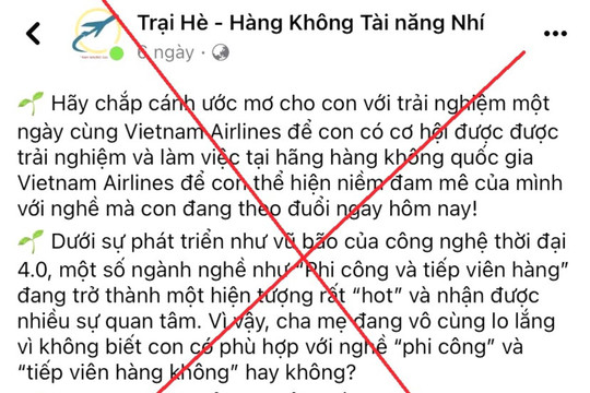 Dùng hình ảnh trái phép của Vietnam Airlines lừa một phụ nữ hơn 2,6 tỷ đồng