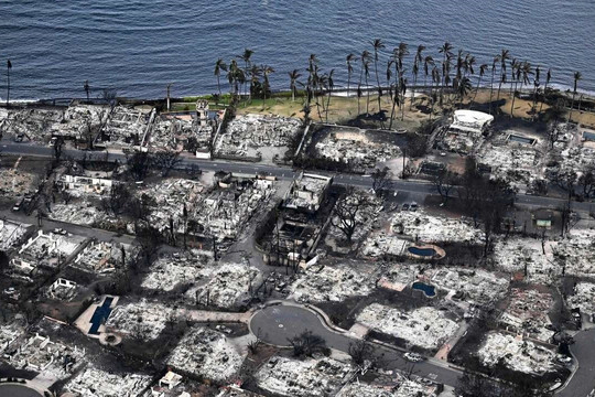 Thất bại của hệ thống cảnh báo trong cháy rừng Hawaii