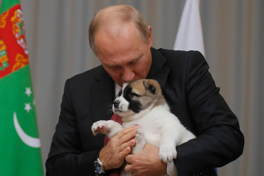 Tình yêu với những chú chó 'ngoại giao' của Tổng thống Putin